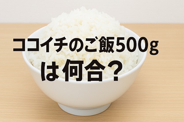ココイチのご飯は何合